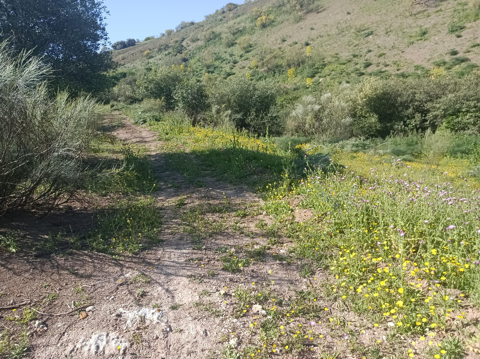 Las imágenes de la ruta alrededor del Castillo de Luna