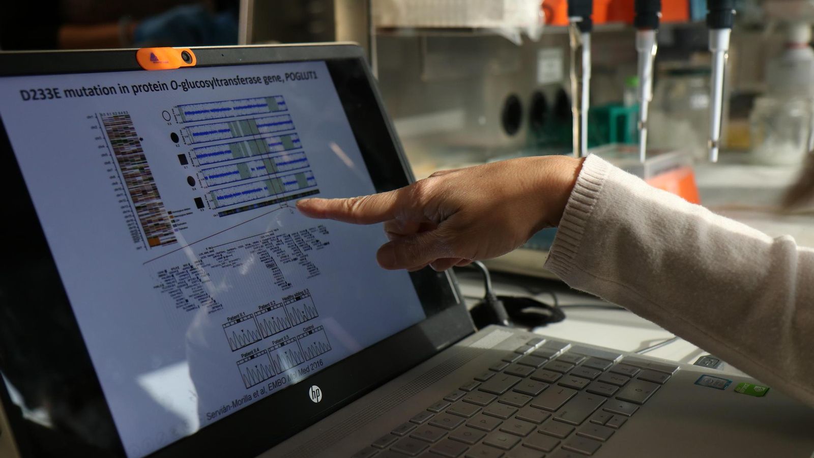 El trabajo en el laboratorio del equipo de la doctora Paradas.