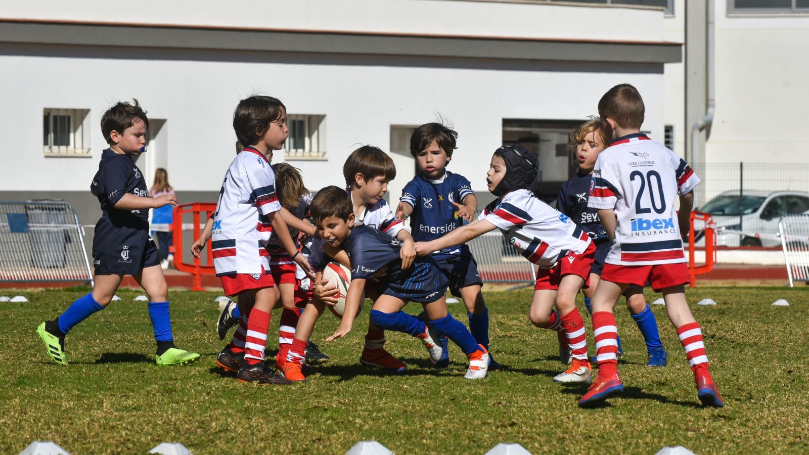Las fotos del Festival Andaluz de rugby gradual en Pueblo Nuevo de Guadiaro