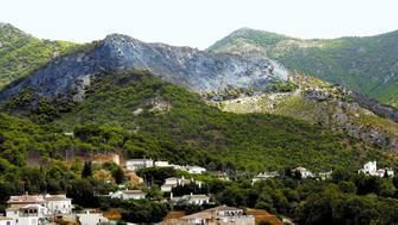 Zona de la Sierra de Mijas afectada por el incendio originado el jueves.