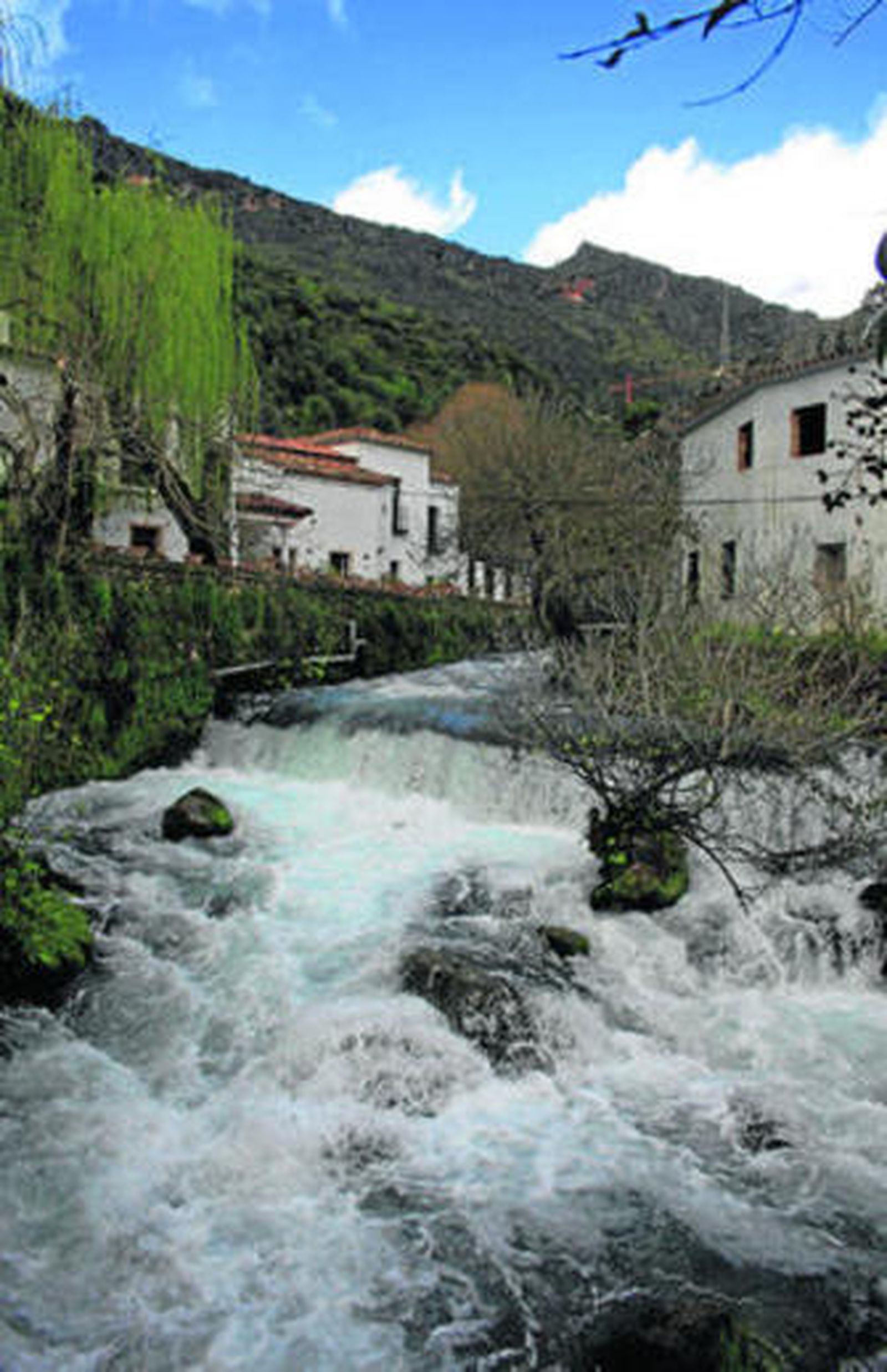 La sinfonía del agua
