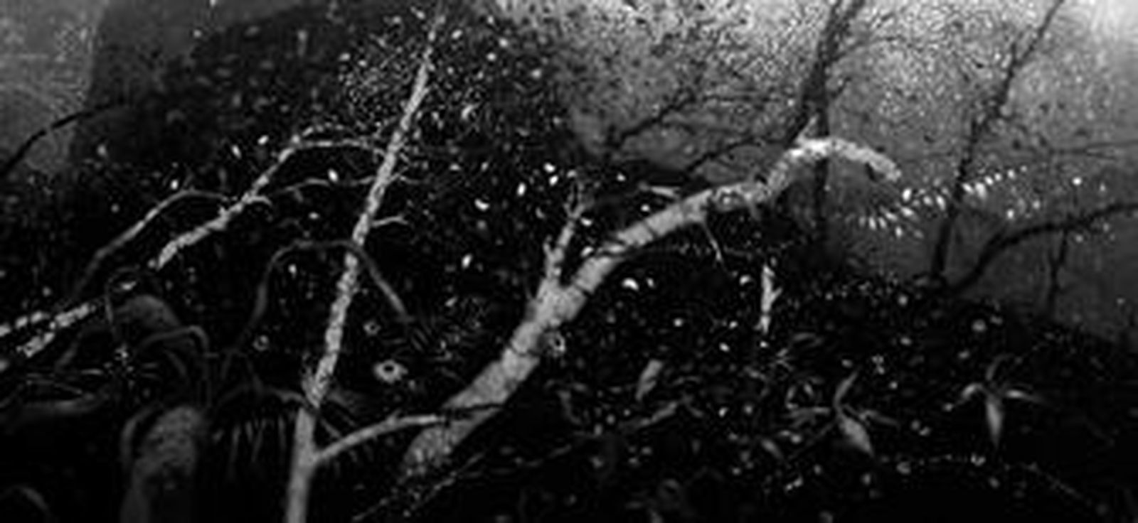 Miguel Gómez Losada.