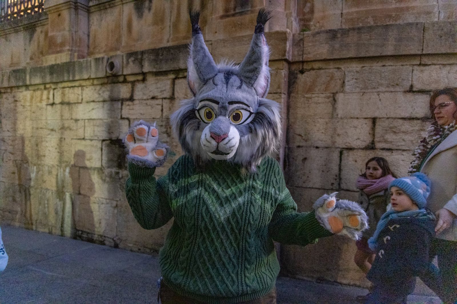 Pasacalles del Carnaval de Jaén 2026