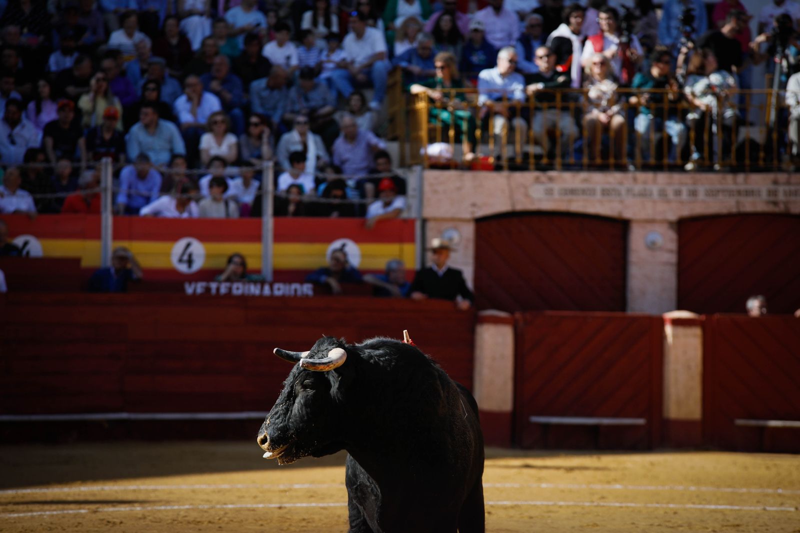 Imágenes del festival mixto lucha contra el cáncer