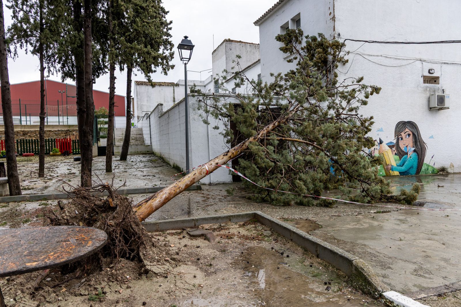 Así queda Monte Lope Álvarez después de la tromba de agua caída