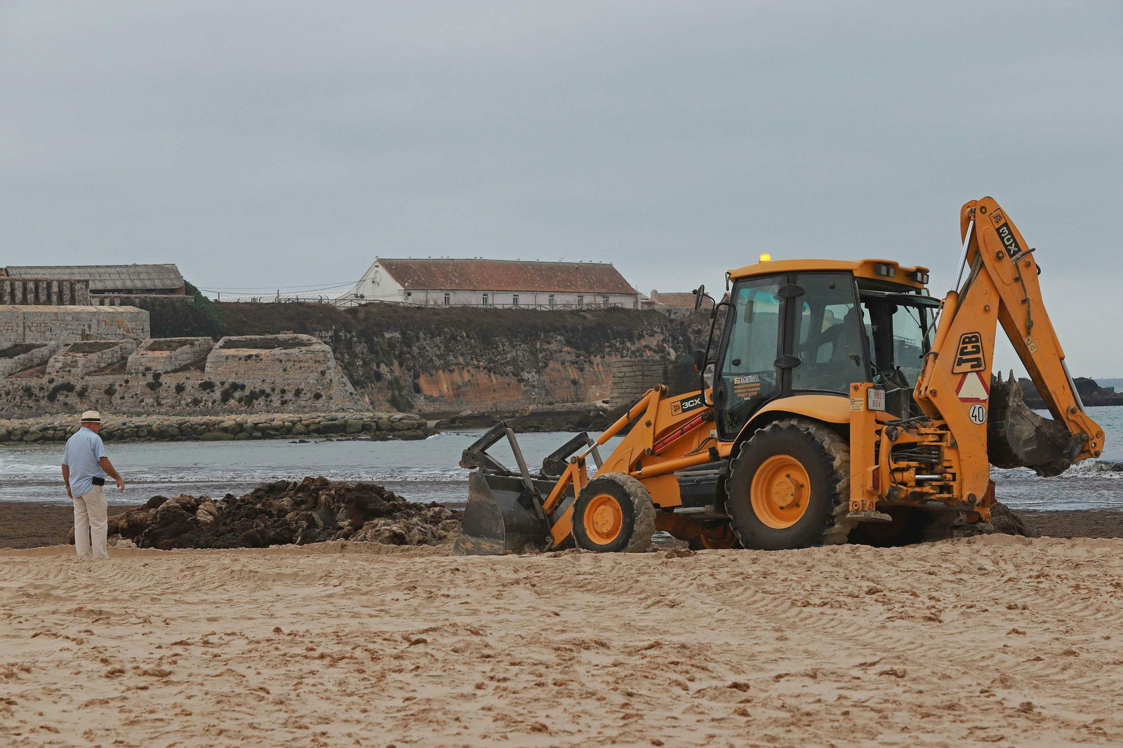 Las mejores fotos de la retirada de algas en las playas de Tarifa