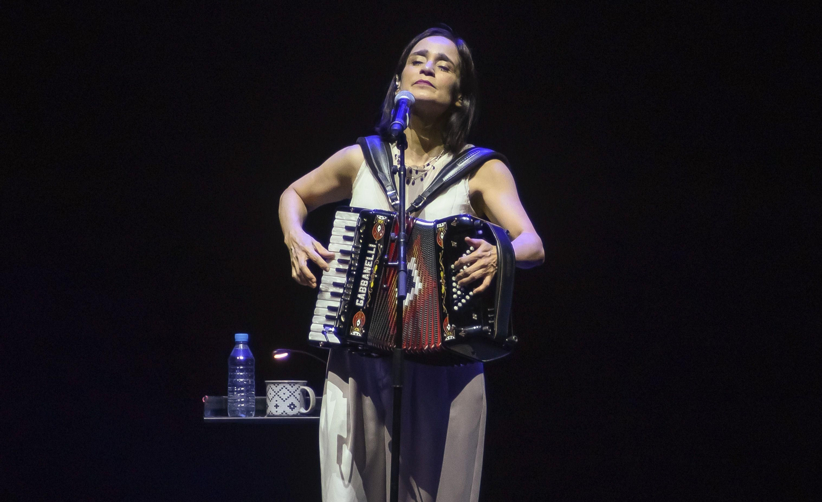 La cantante mexicana Julieta Venegas durante un concierto en 2023.
