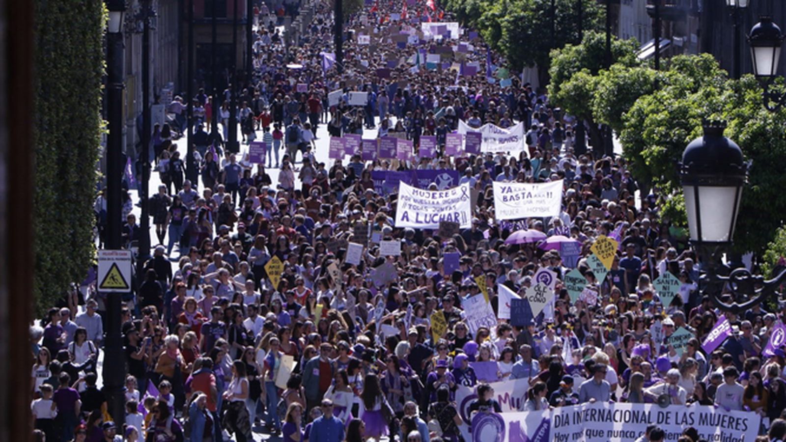 La calle teñida de violeta.
