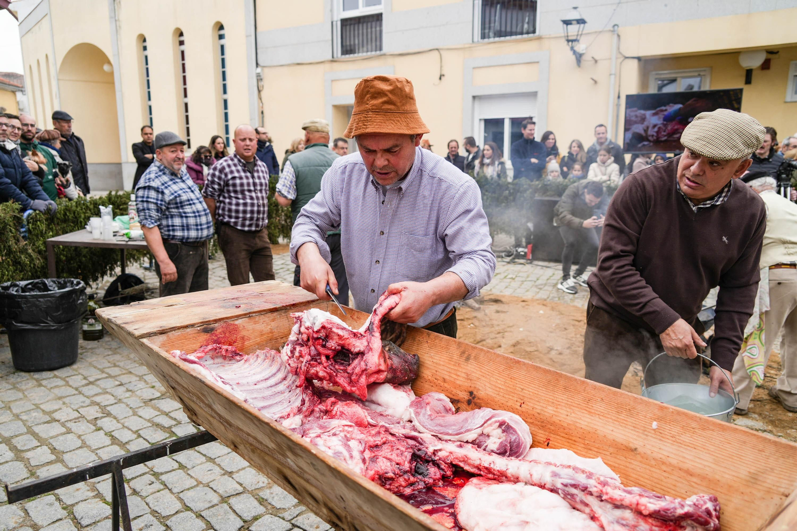 La Fiesta de la Matanza de Alcaracejos, en imágenes