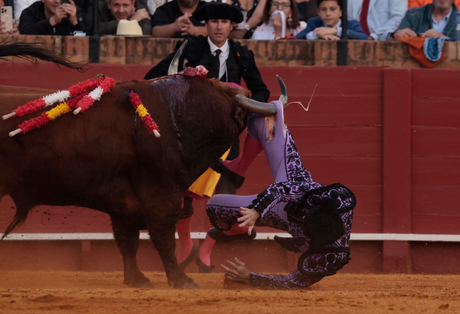 El toro le abrió el muslo pero sin interesar órganos vitales.