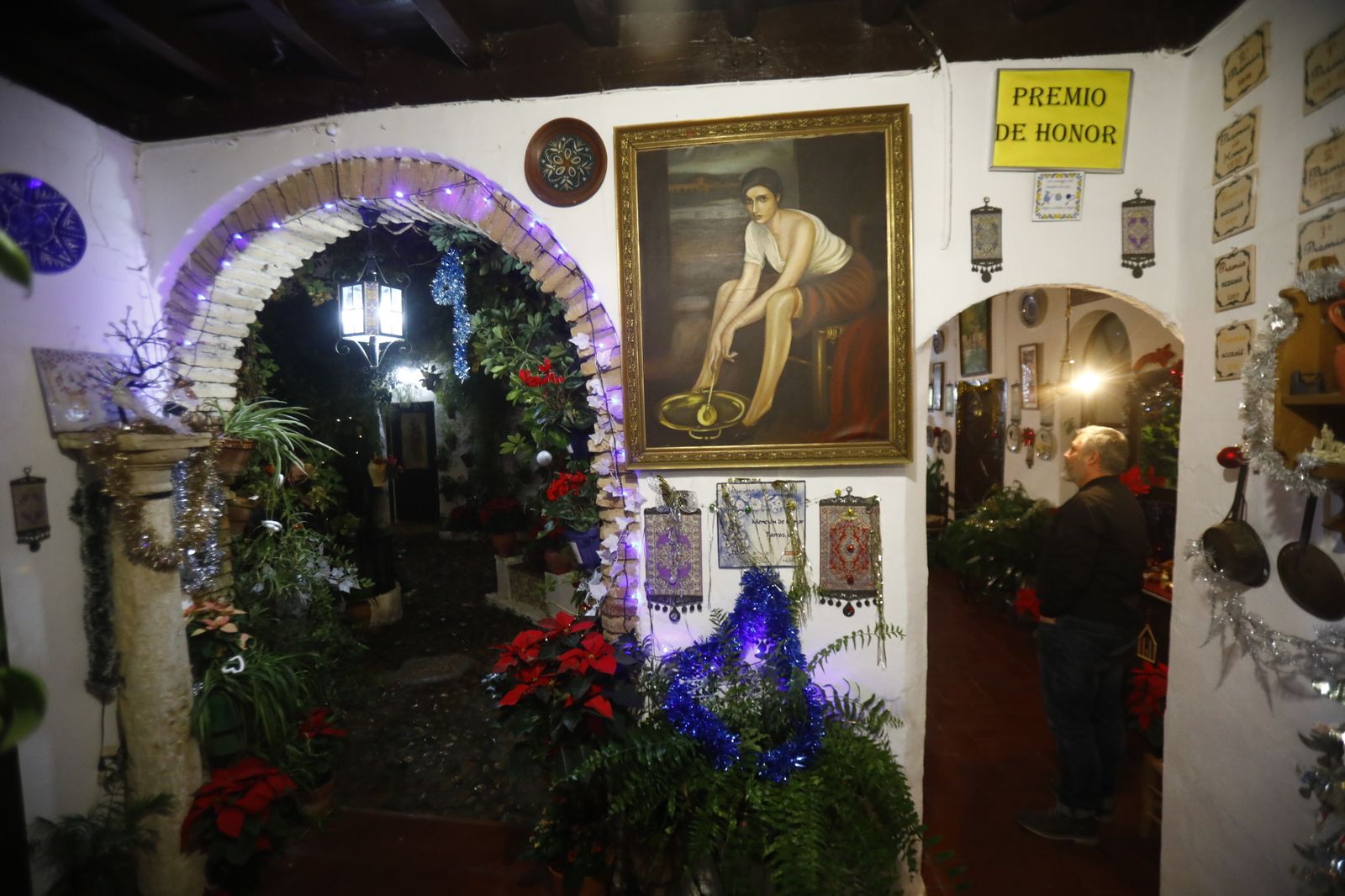 Los Patios de Córdoba abren por Navidad, en imágenes