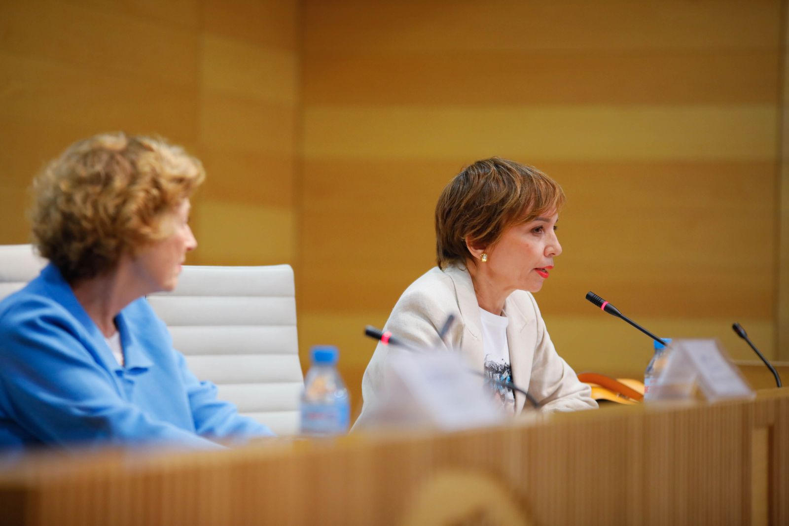 Imágenes de Diario de los Libros, con Julia Navarro