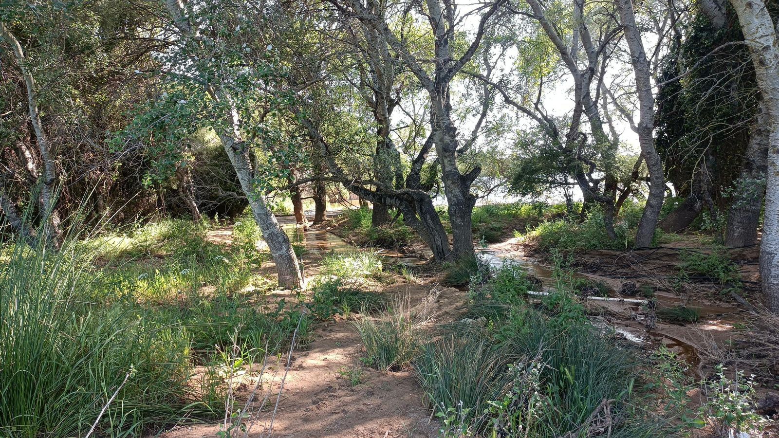 Puede que nos encontremos algunos tramos anegados si ha llovido recientemente.
