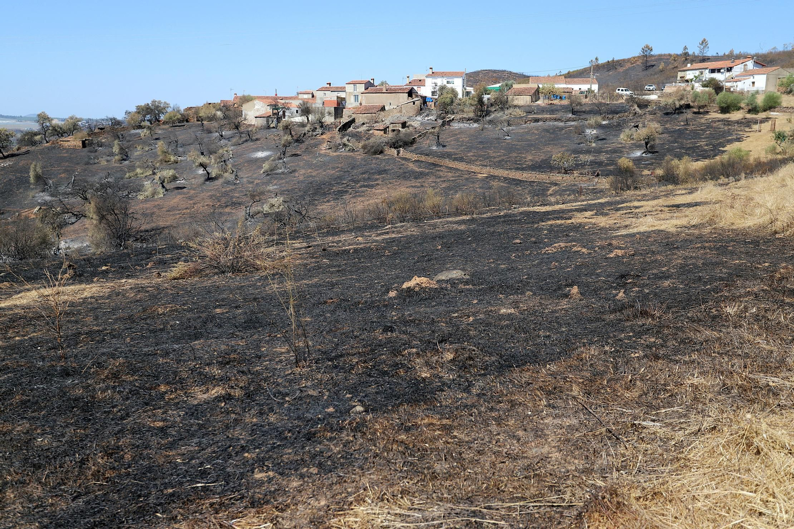 Imágenes de las zonas devastadas por el incendio de Almonaster la Real