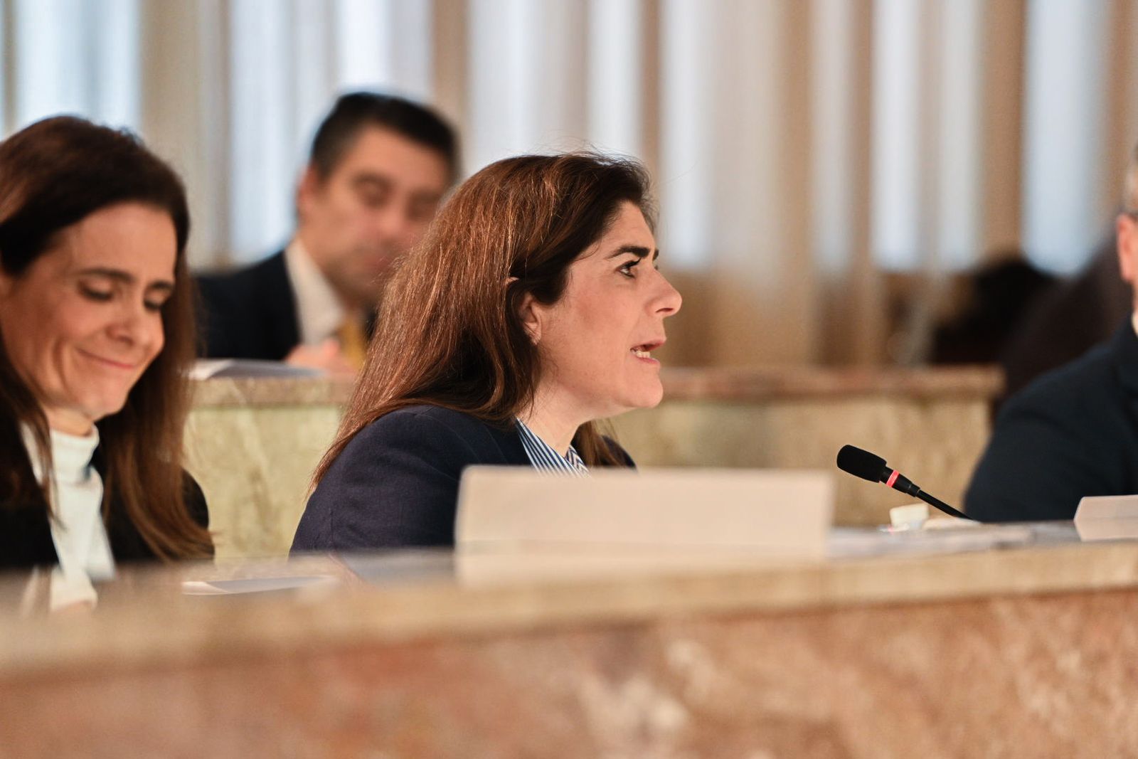 Vanesa Lara, en su intervención plenaria.