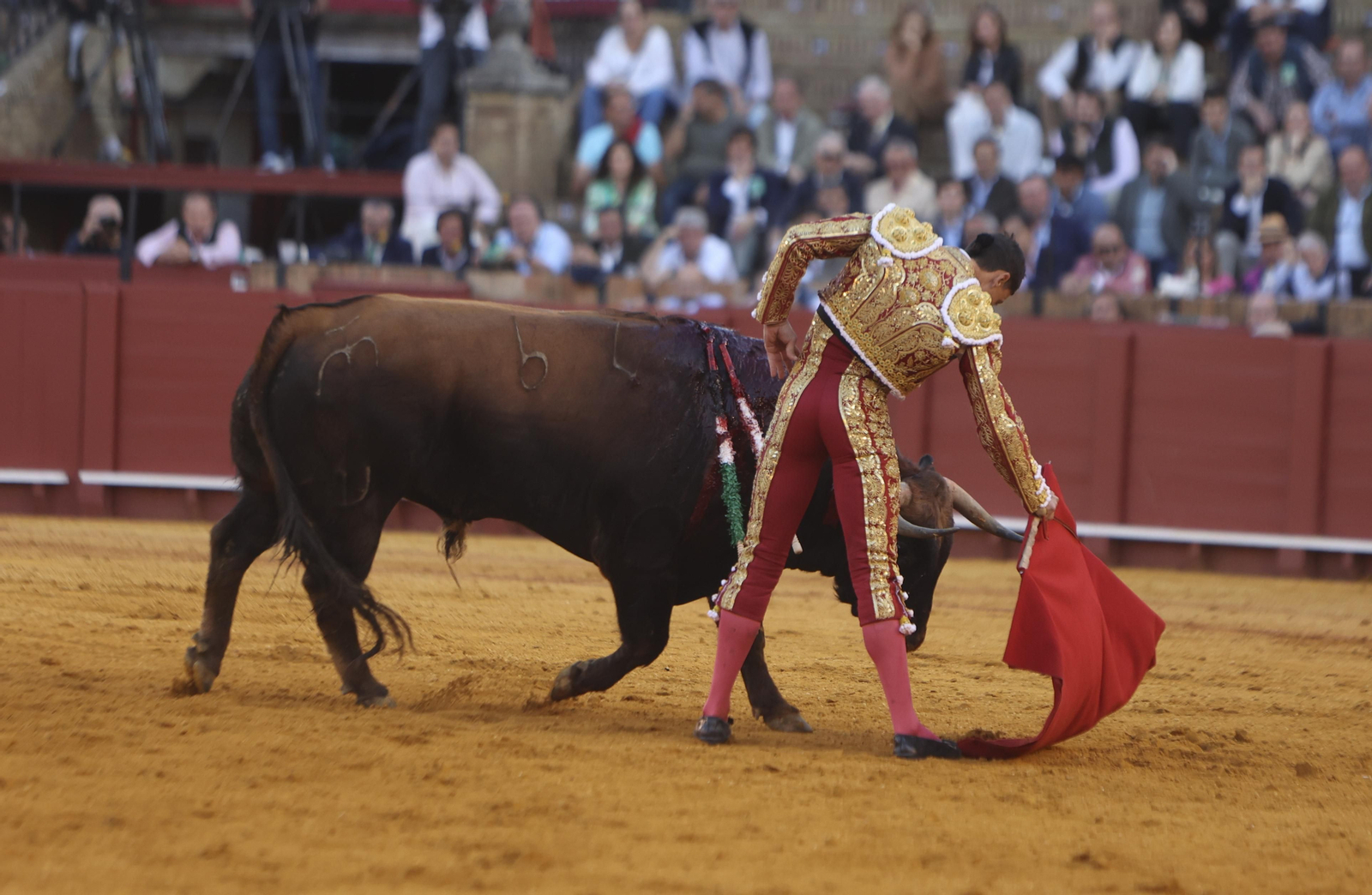 Las mejores fotos de la corrida de toros de Miguel Ángel Perera, Paco Ureña y Borja Jiménez
