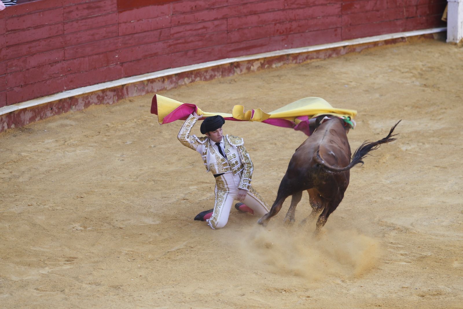Fotogalería novillada Escuela Taurina de Almería. Feria de Almería 2019