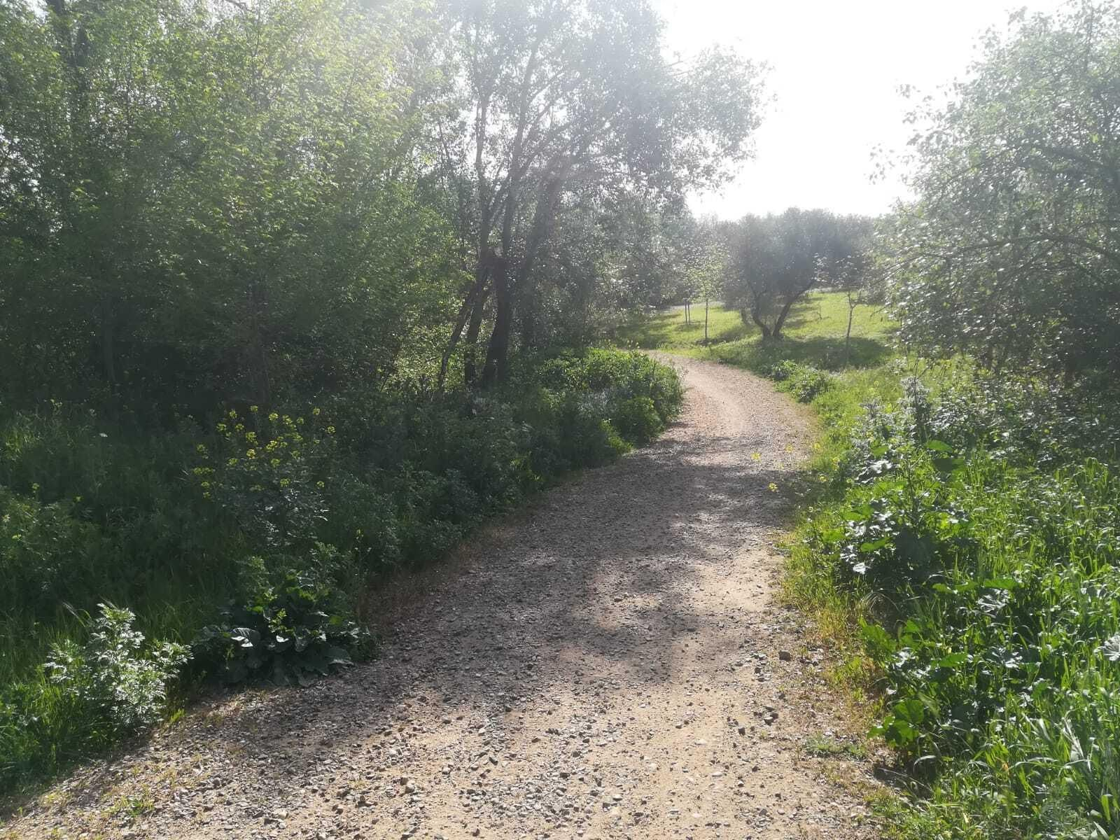 La ruta del Río Pudio por Espartinas, en imágenes