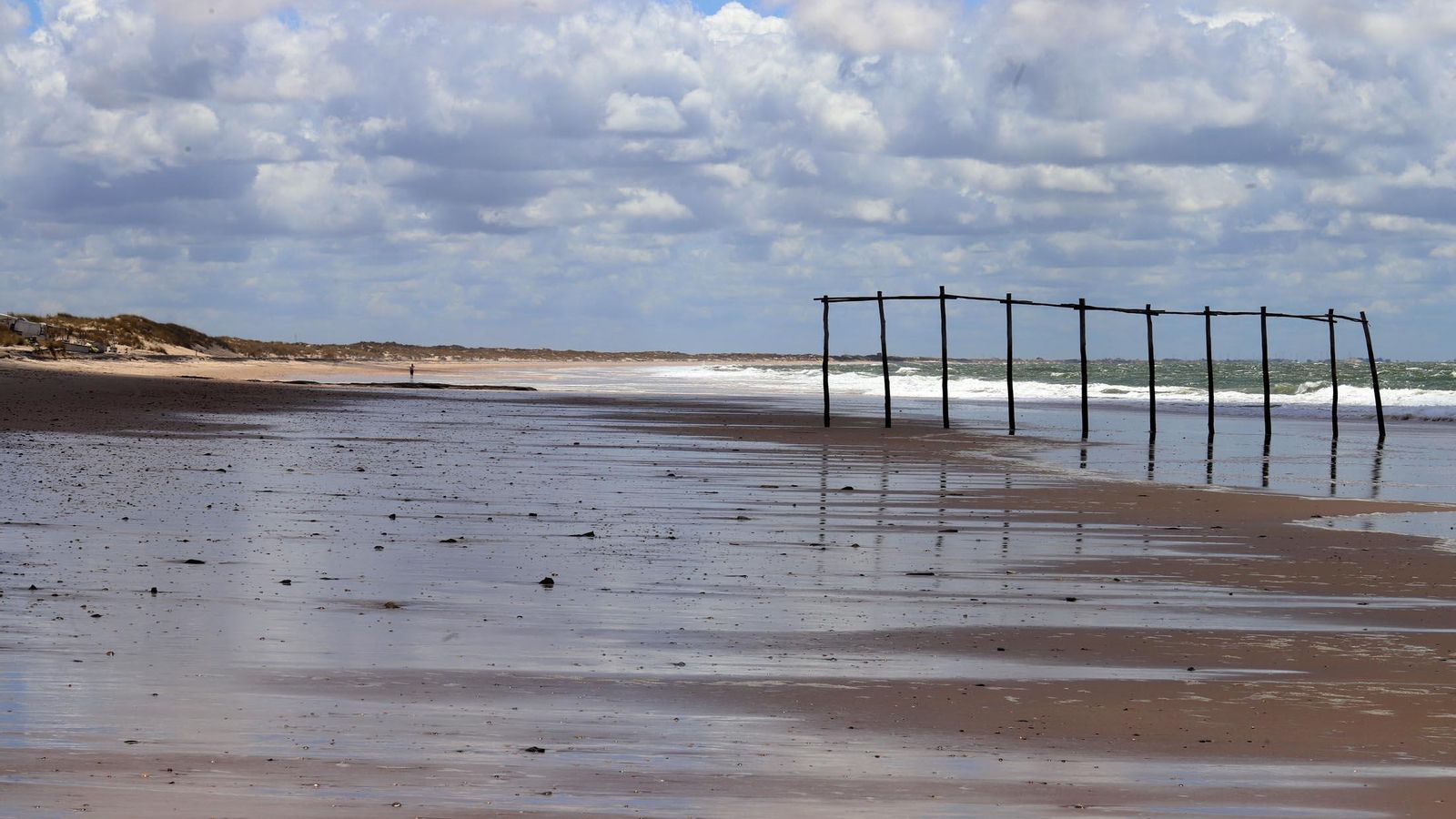 Tras Matalascañas, Playa de Doñana