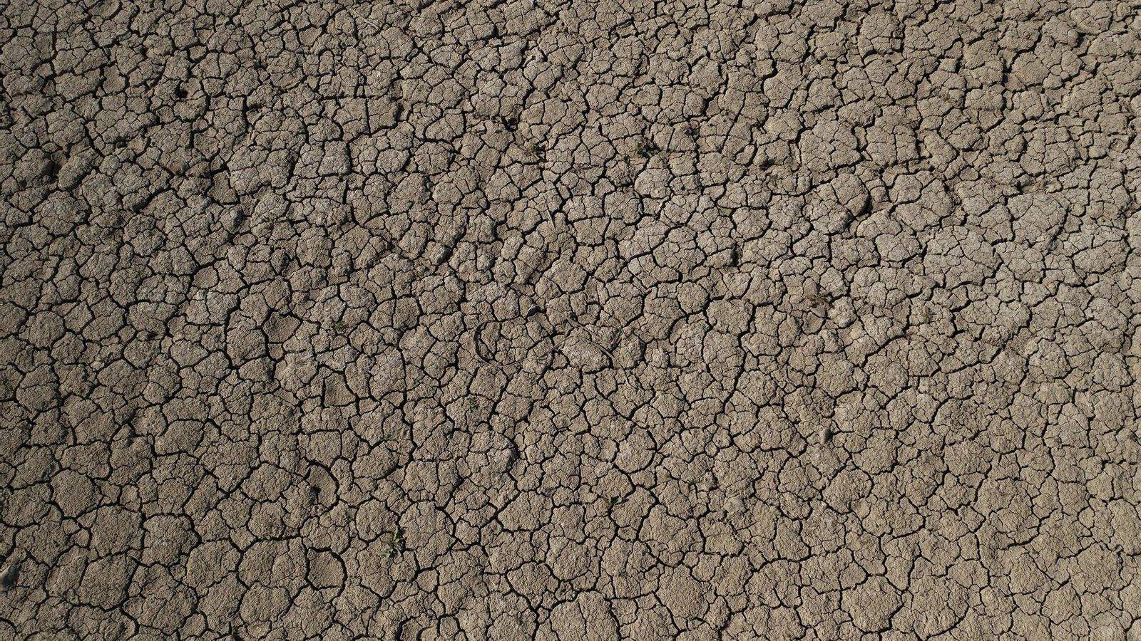 Suelos agrietados en un humedal por falta de agua.