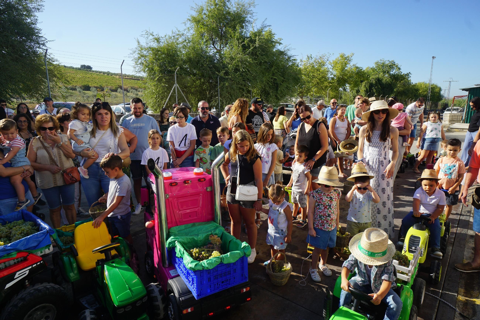Vendimia infantil de Montilla