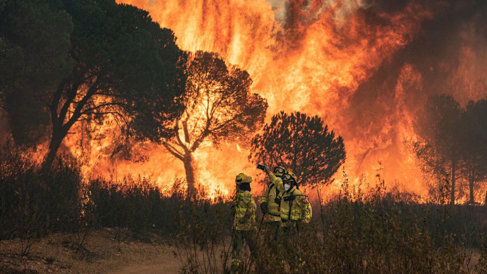 Bomberos luchan contra las llamas en el incendio del pasado verano en Almonaster.