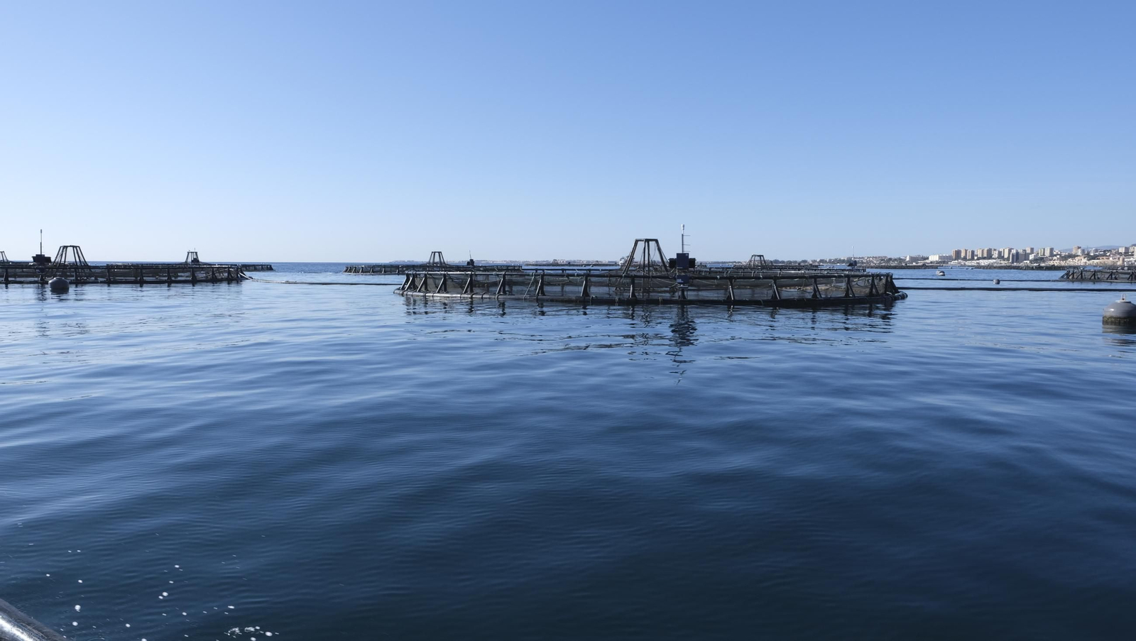 La piscifactoría de El Cañarete, en imágenes