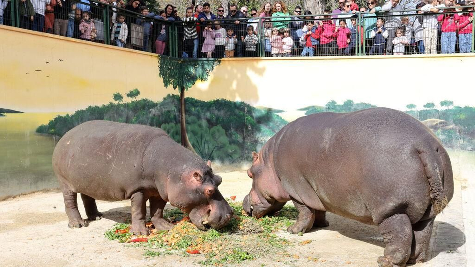 Algunas curiosidades que te animarán a visitar el Zoo de Jerez