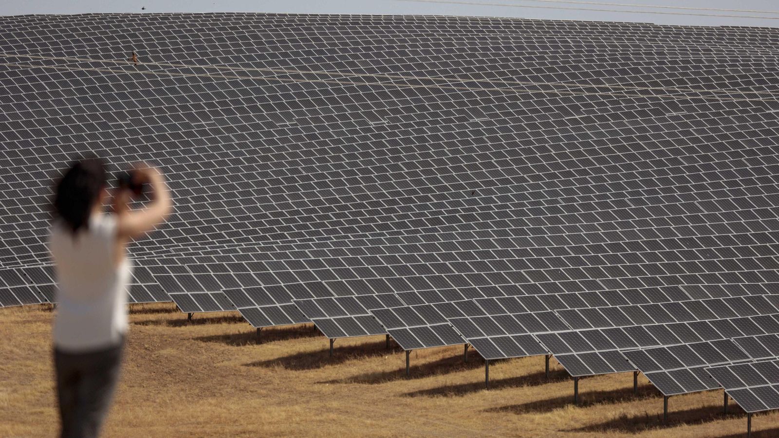 Mantas de placas fotovoltaicas en el parque más grande de Guillena, en la carretera a las Pajanosas.