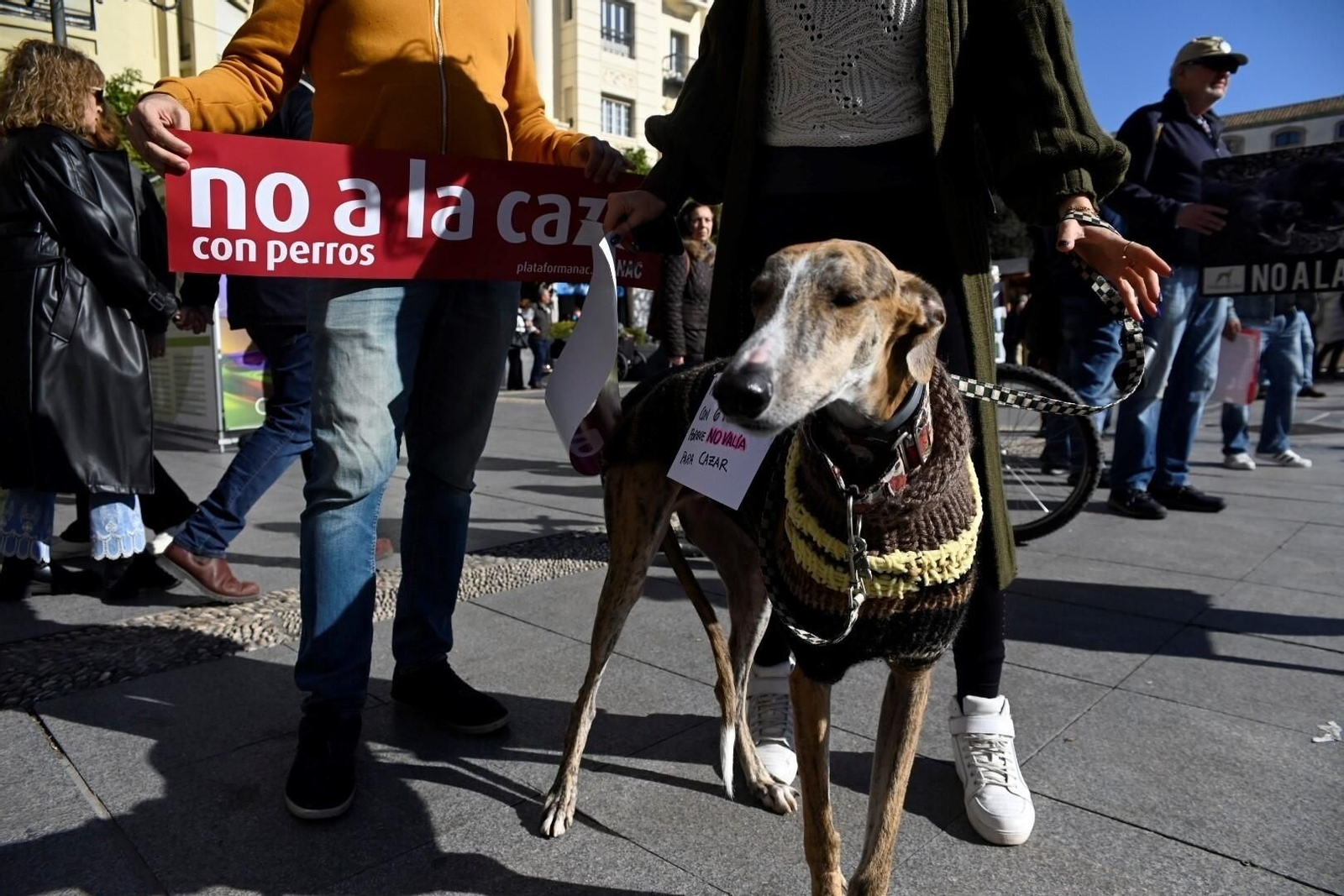La manifestación para acabar con la caza con perros en Córdoba, en imágenes