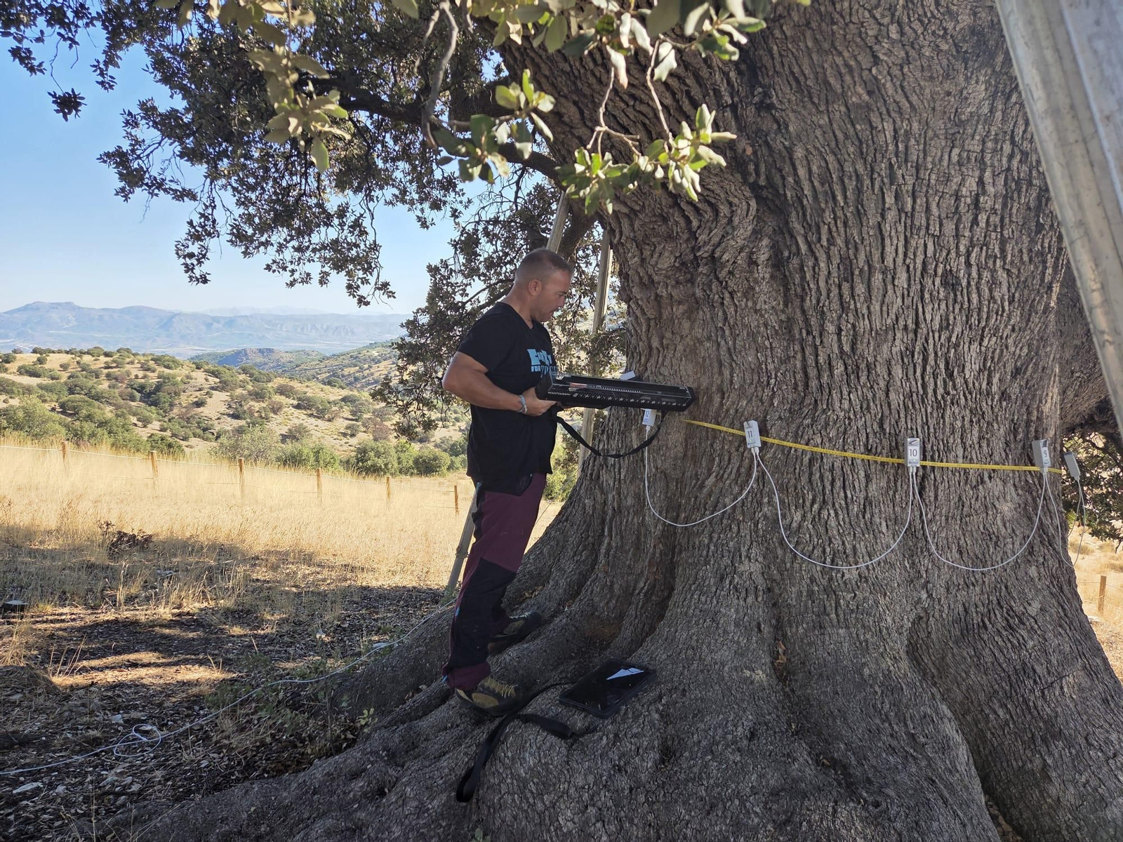 Ya se han iniciado los trabajos de recuperación.