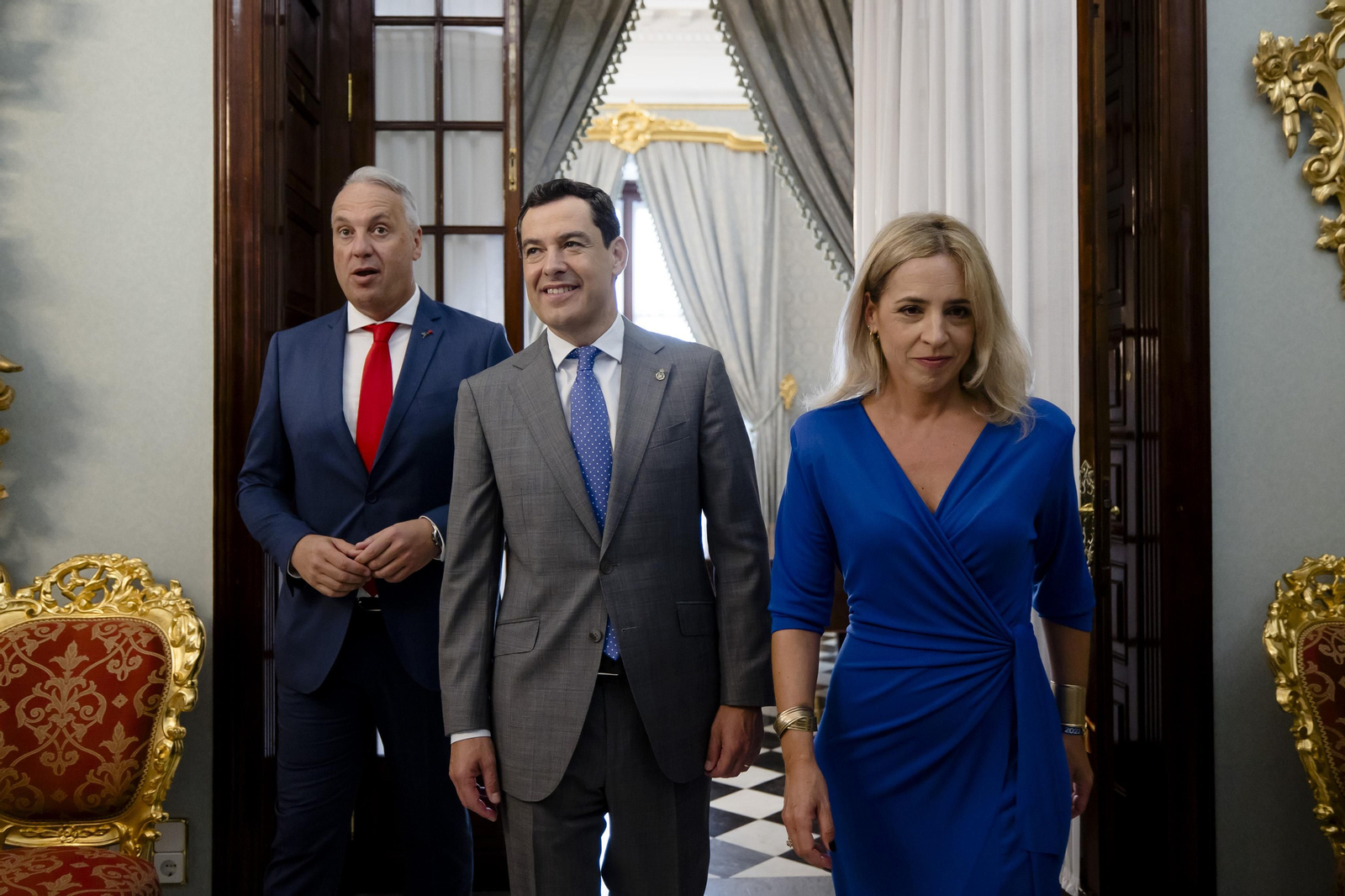 Las imágenes del pleno de investidura de la Diputación de Cádiz.