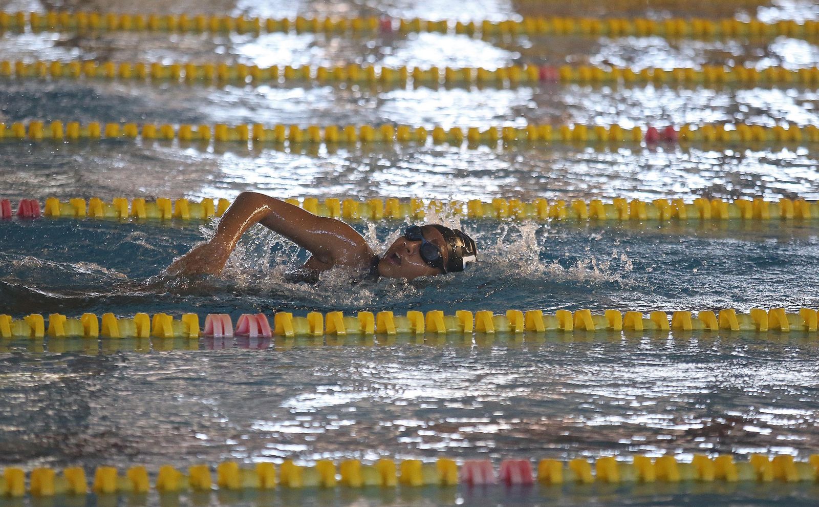 Fotos de la Fase II del Circuito alevín de la  Real Federación Española de Natación en Los Barrios