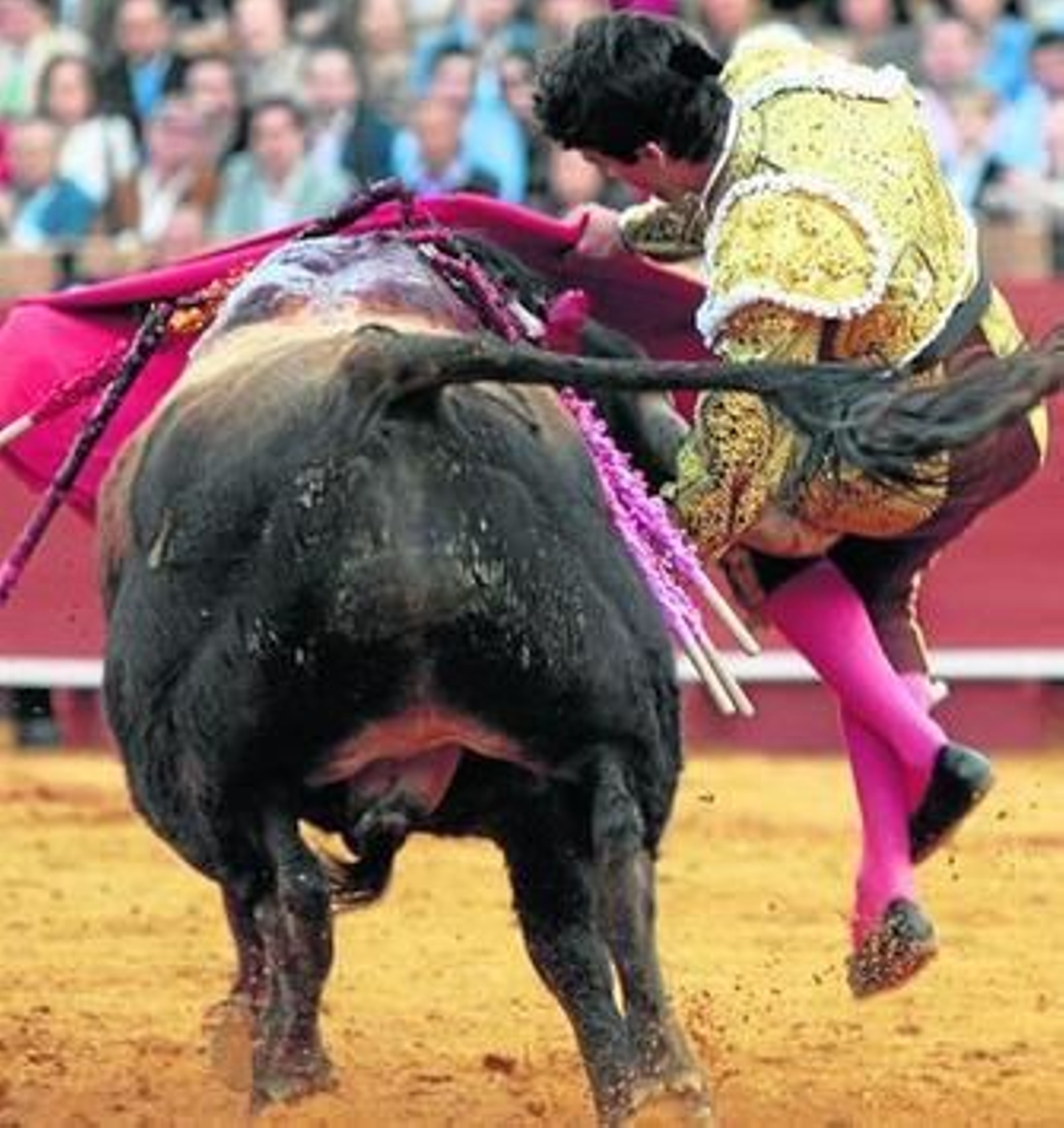 Instante en el que el quinto toro hiere en el muslo derecho a Miguel Ángel Delgado.
