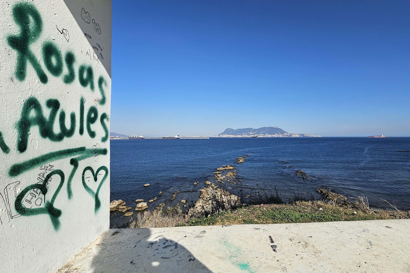 Fotografías del estado del Parque del Centenario de Algeciras