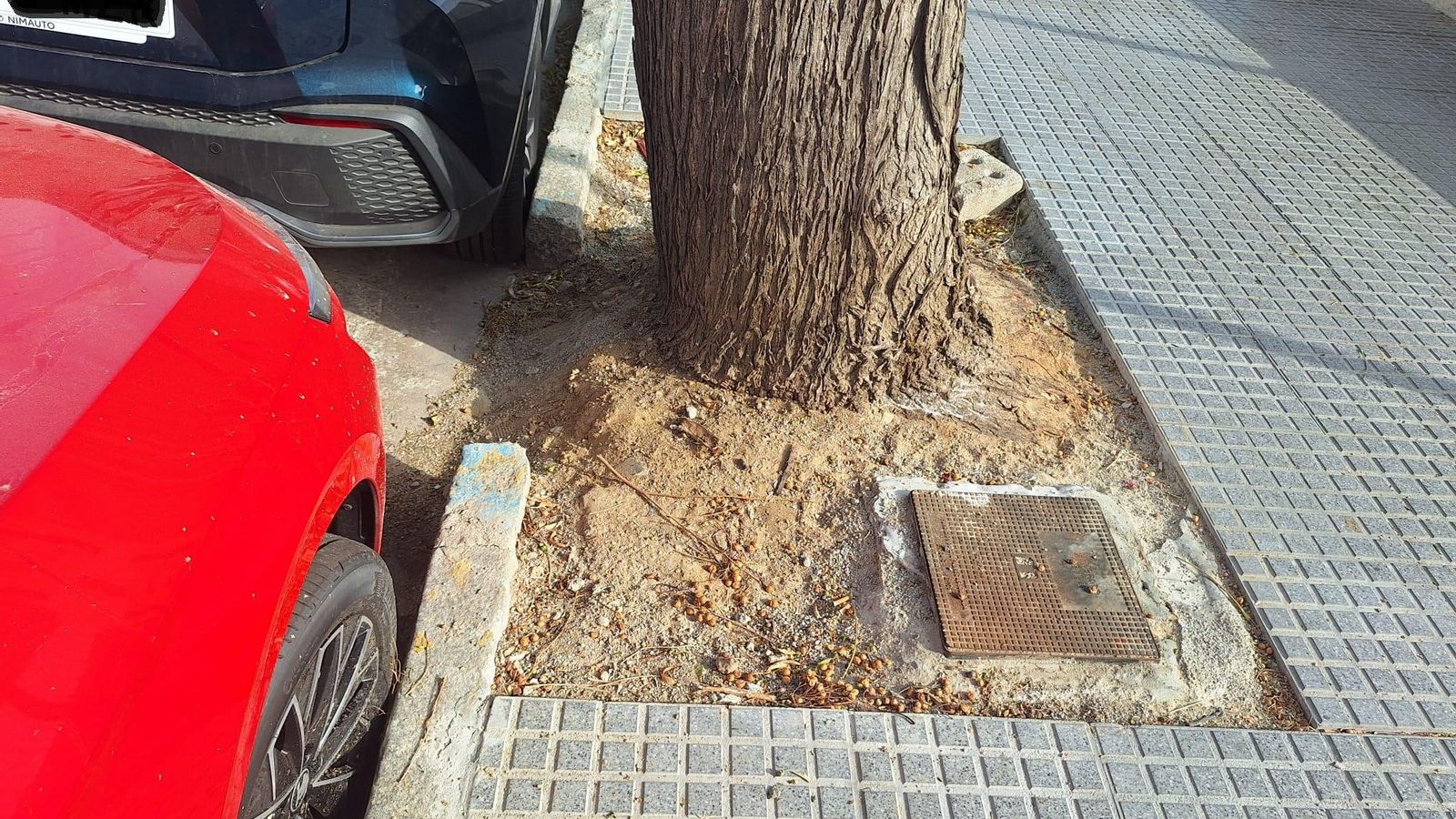 Tramo de acera sin bordillo, en la Avenida de Andalucía.
