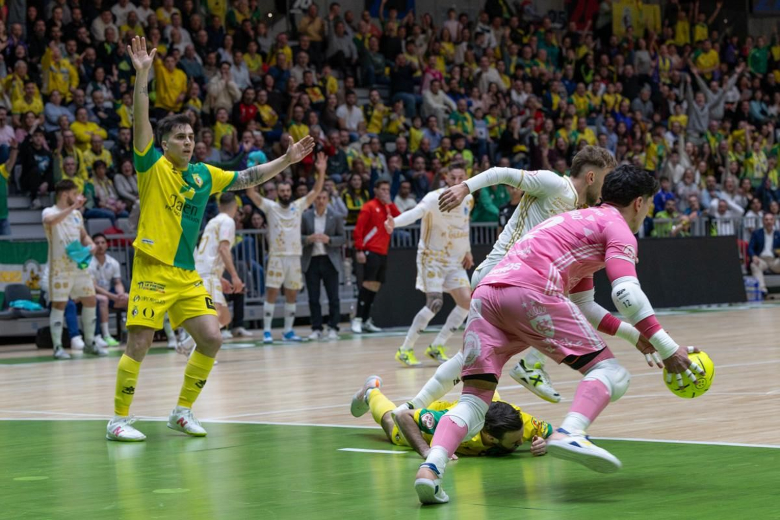 Las mejores imágenes del Jaén Paraíso Interior FS - Quesos El Hidalgo Manzanares