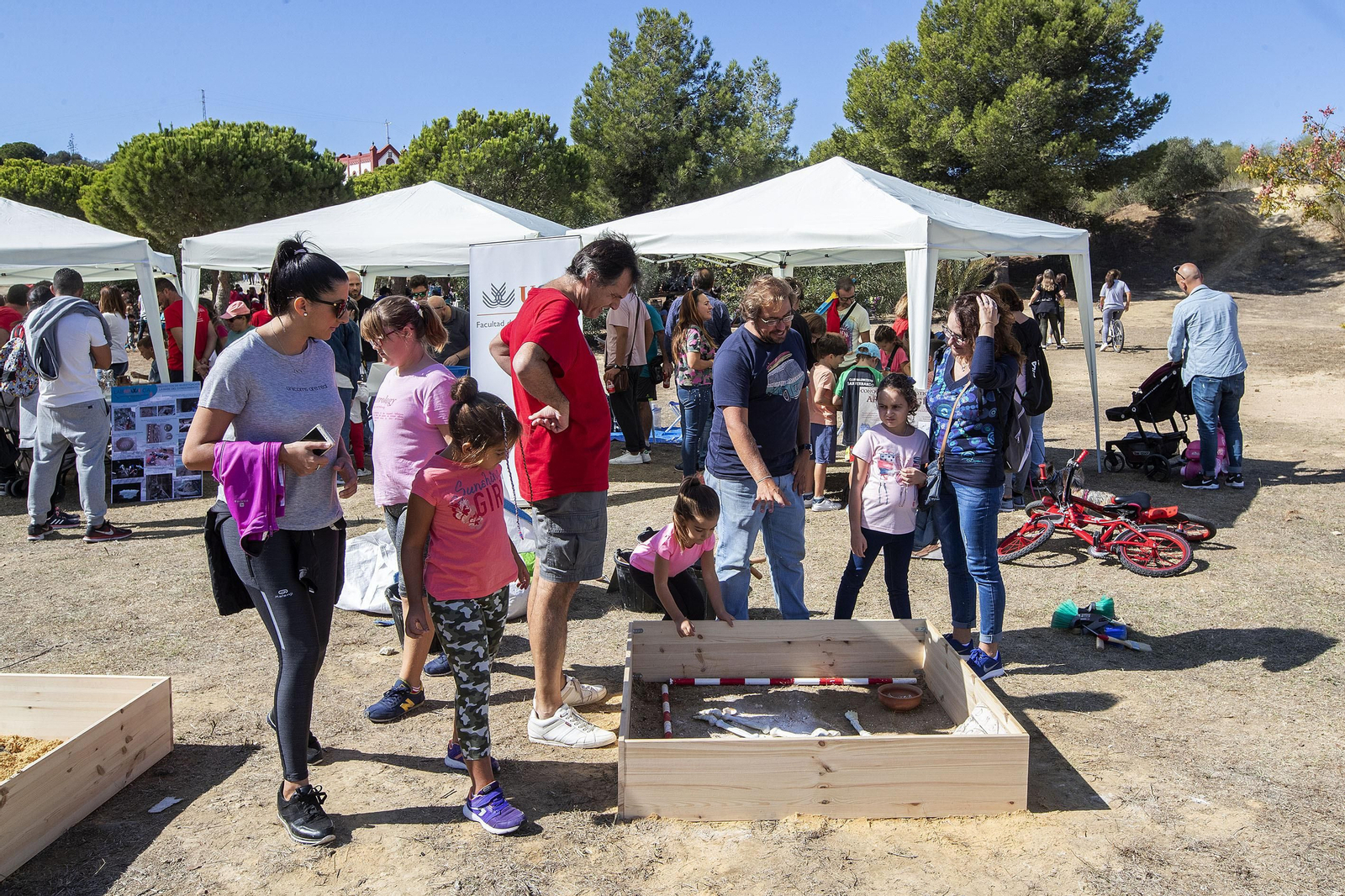 Las imágenes de la Romería del Cerro