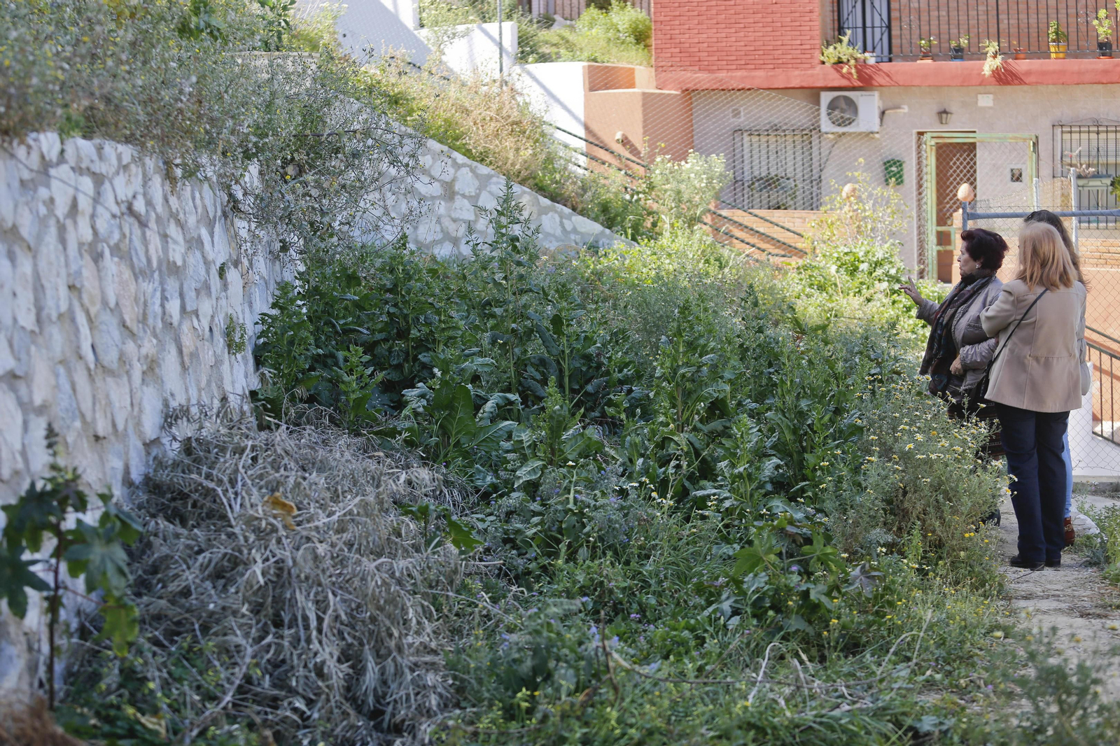 Barrio de Mangas Verdes