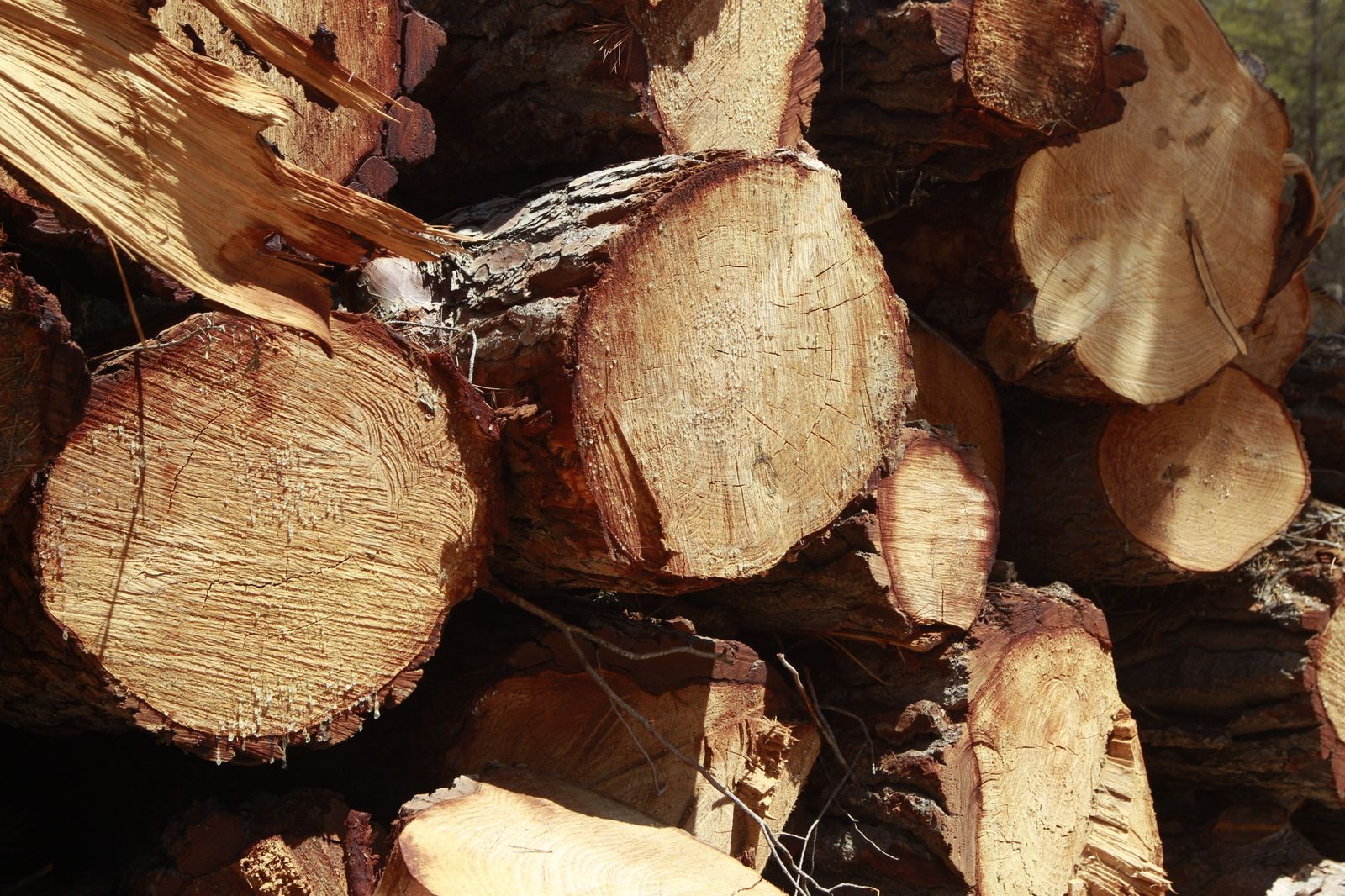 Imágenes de la sequía que golpea con dureza la producción de cereal en Los Vélez