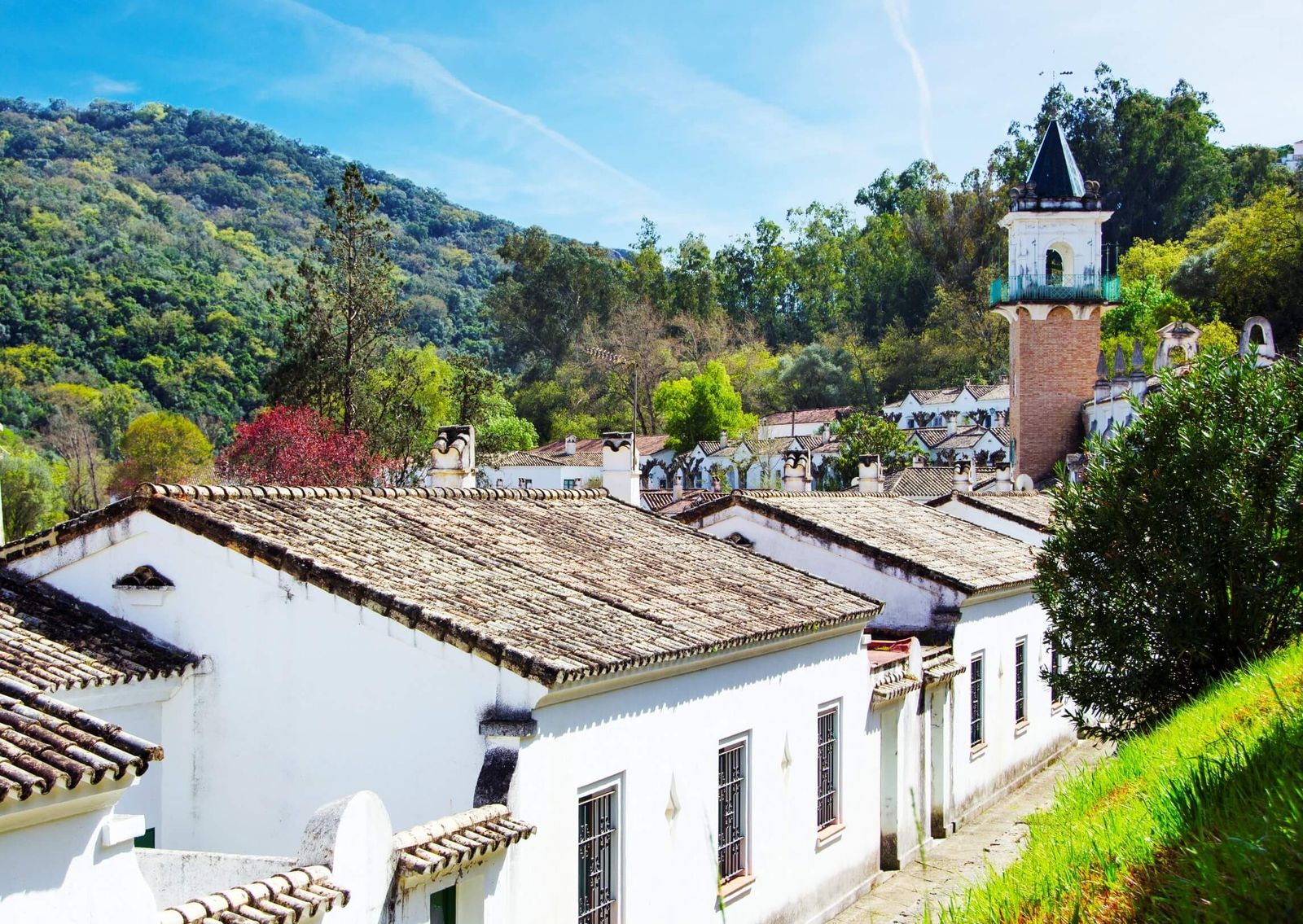 II Feria Gastro Ganadera de San José del Valle.