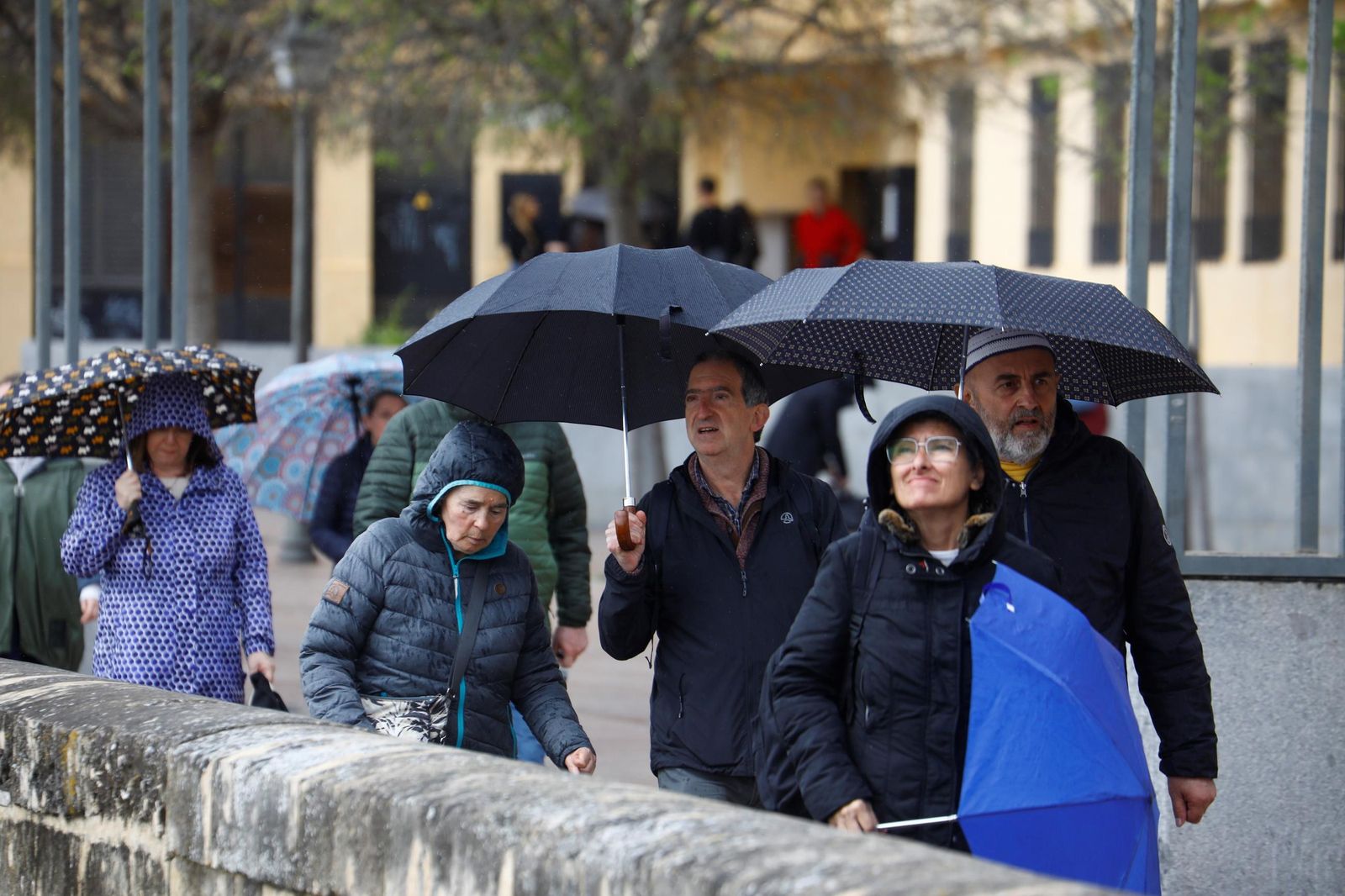El paso de la borrasca Nuria por Córdoba, en imágenes