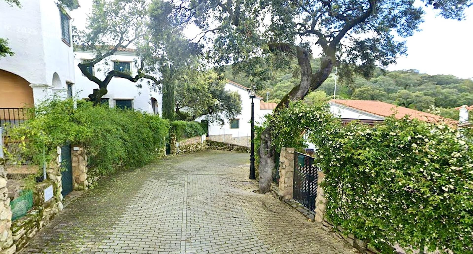 Entre la niebla y el fuego de las chimeneas, late un lugar que no quiere ser descubierto