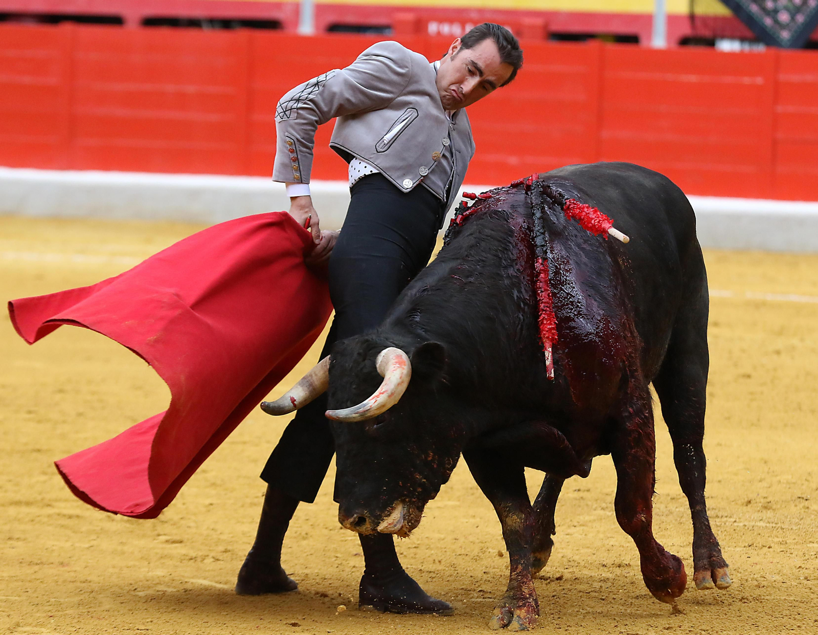 El Festival Taurino Granadown, en imágenes