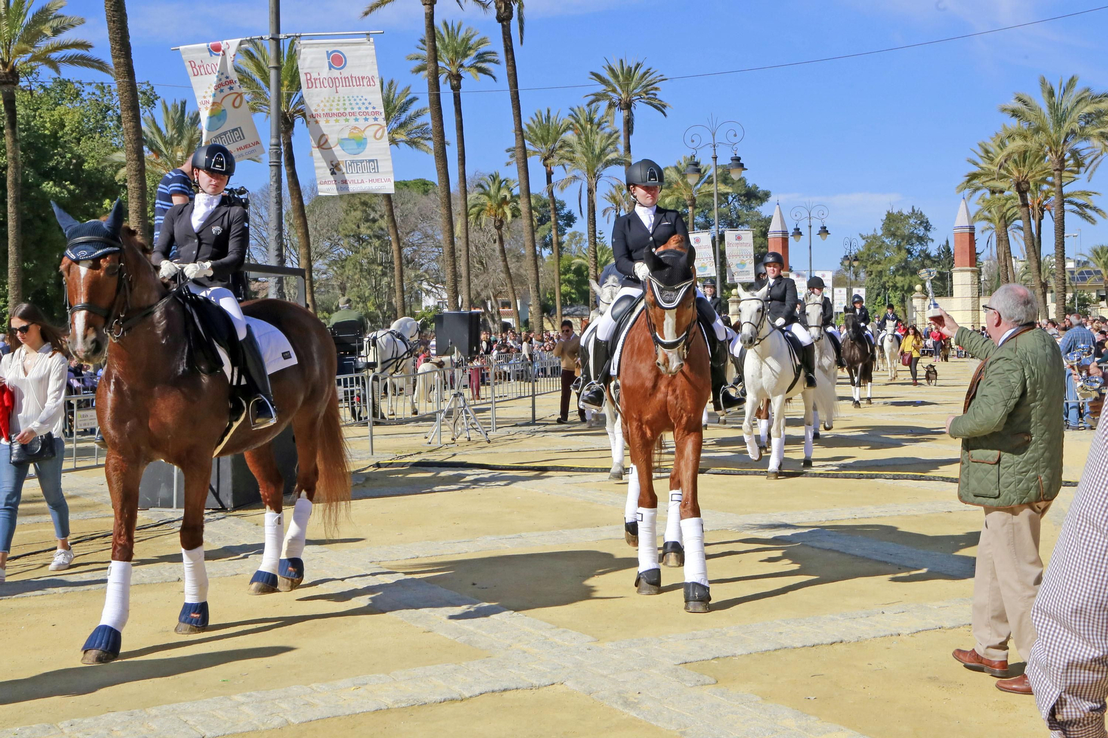 Imágenes de San Antón 2020 en Jerez