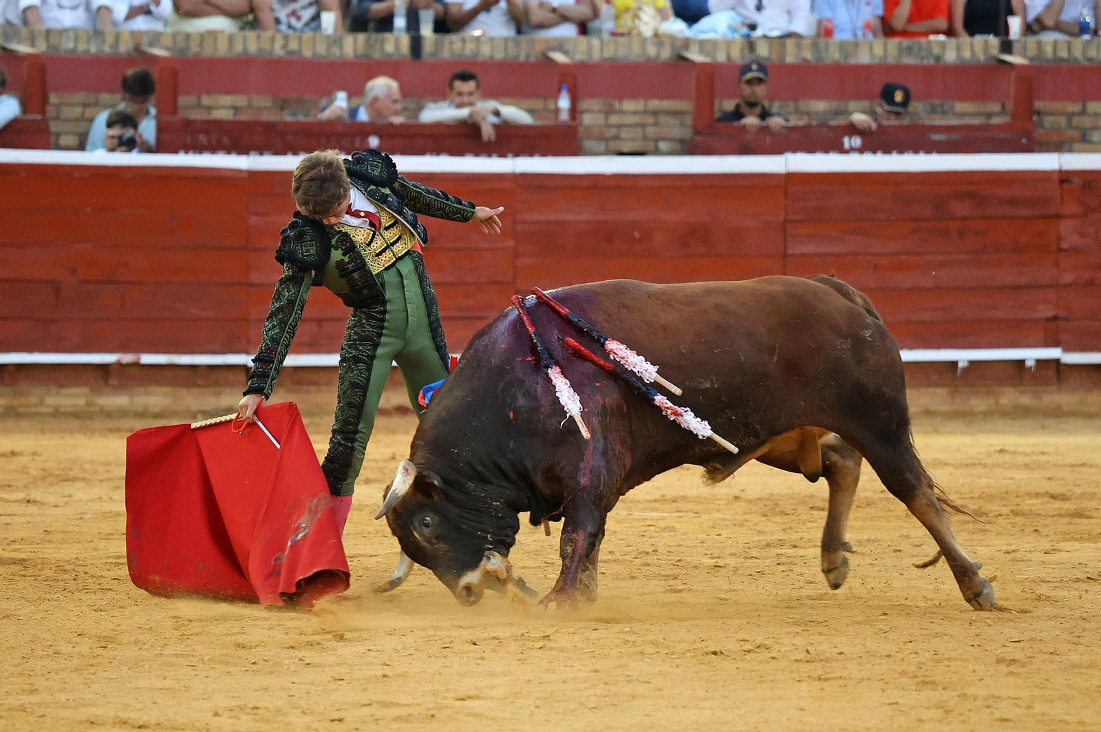 Toros La Merced 2025: Imágenes de la Novillada de Javier Zulueta, Cristian González y Carlos Tirado