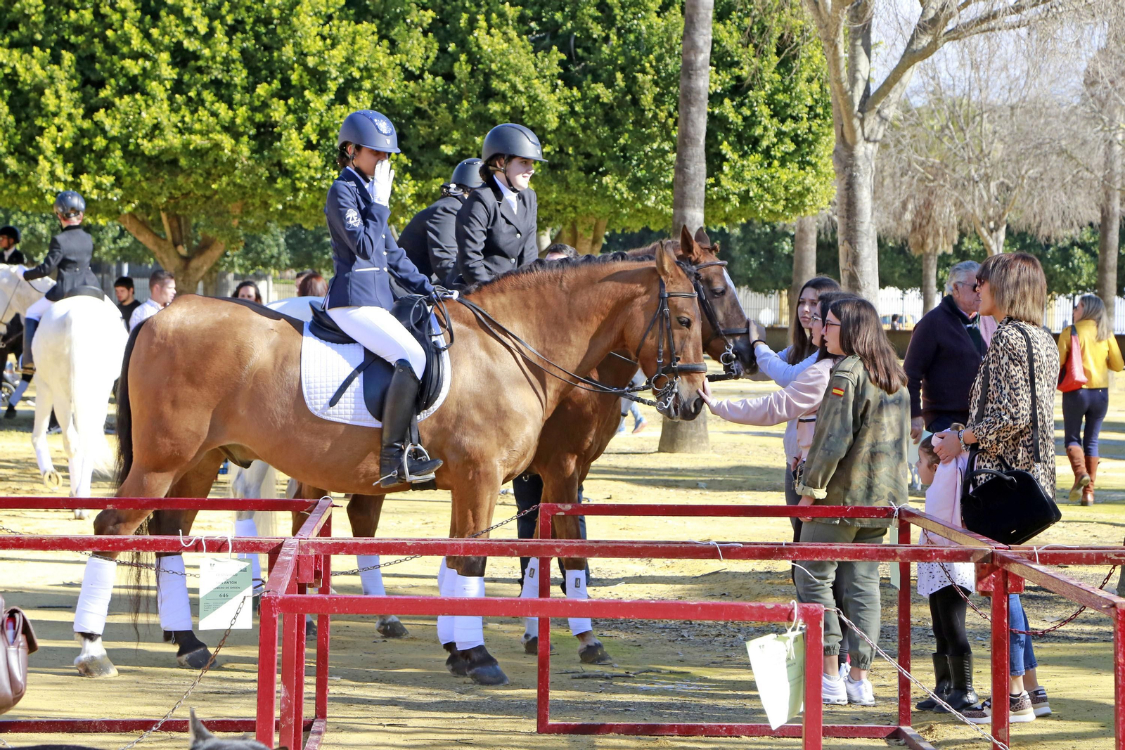 Imágenes de San Antón 2020 en Jerez