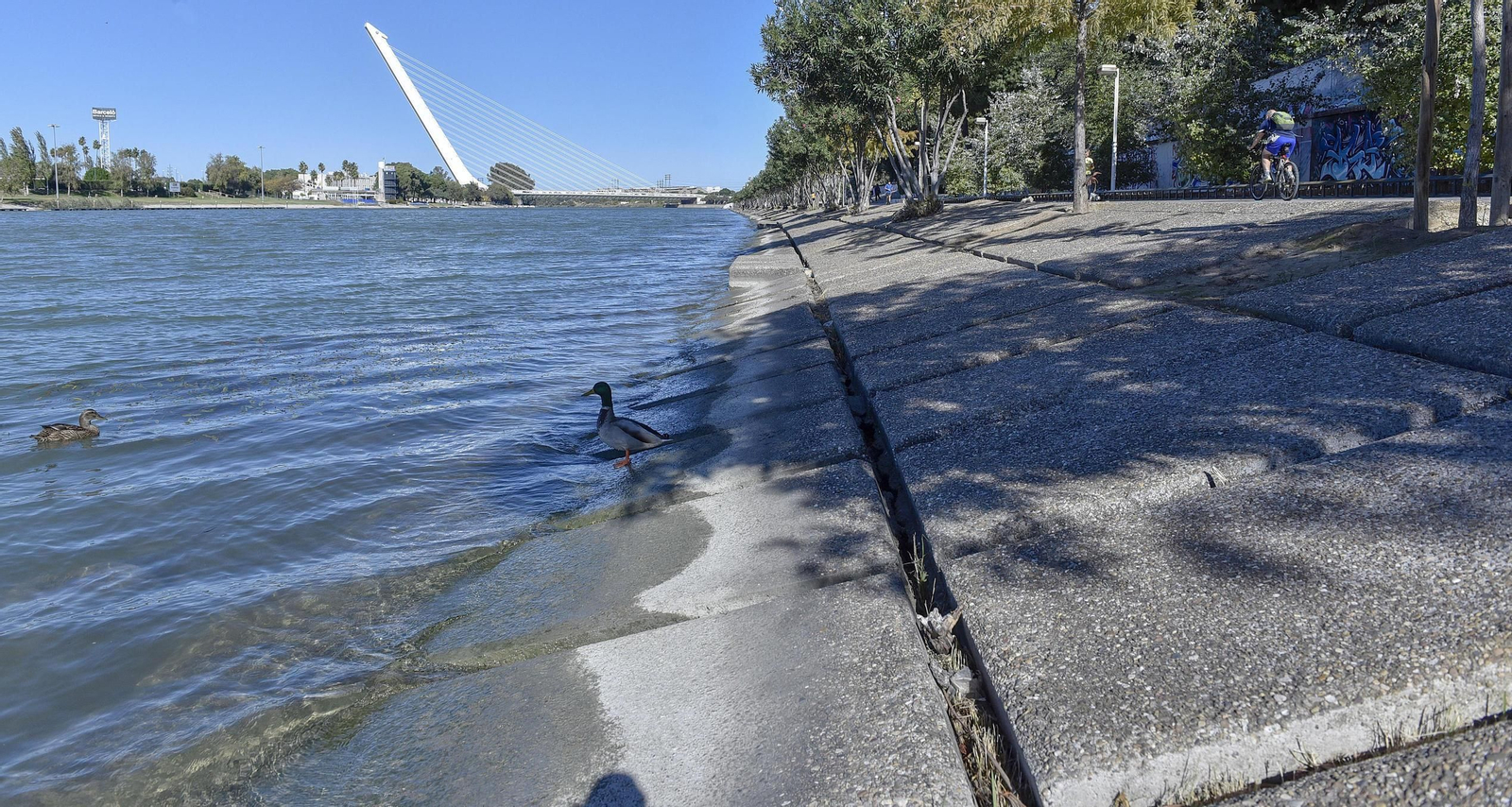 Desperfectos en el entorno del río