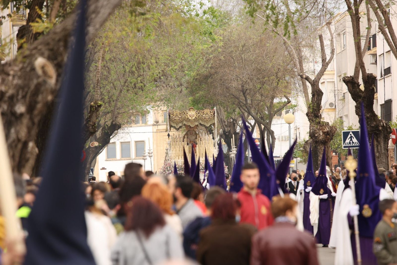 Imágenes de la hermandad de la Candelaria