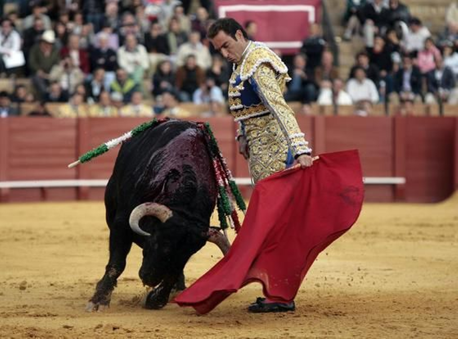 Salvador Cortés.

Foto: Juan Carlos Muñoz